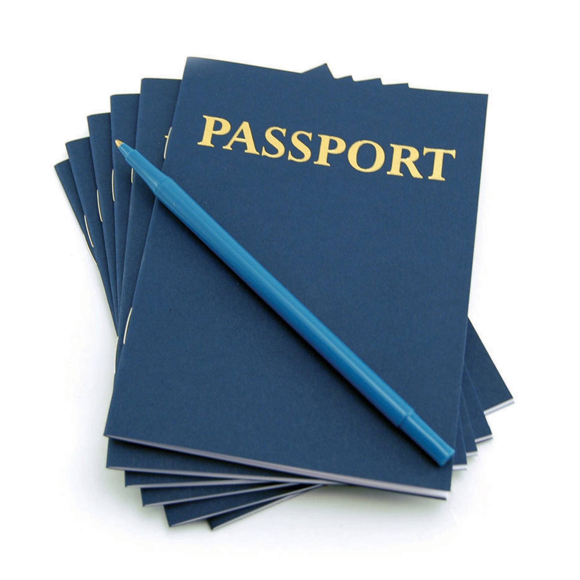 Hygloss My Passport Books, 12 Per Pack